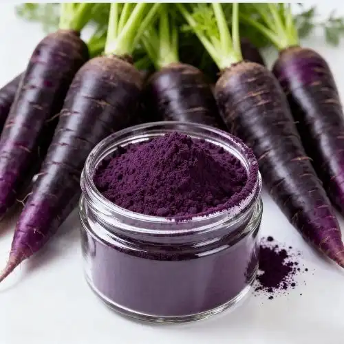 Black Carrot Extract vs Anthocyanin Powder Comparison